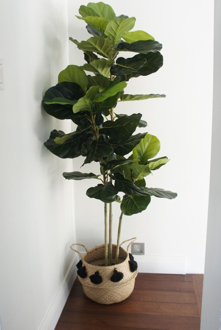 Potted Artificial Plant - Alva Artificial Fiddle Leaf Potted Plant (Multiple Sizes)