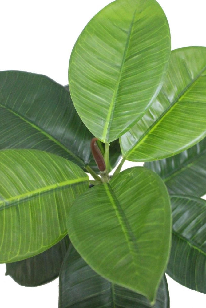 Potted Artificial Plant - Iza Artificial Rubber Potted Plant 1.4'