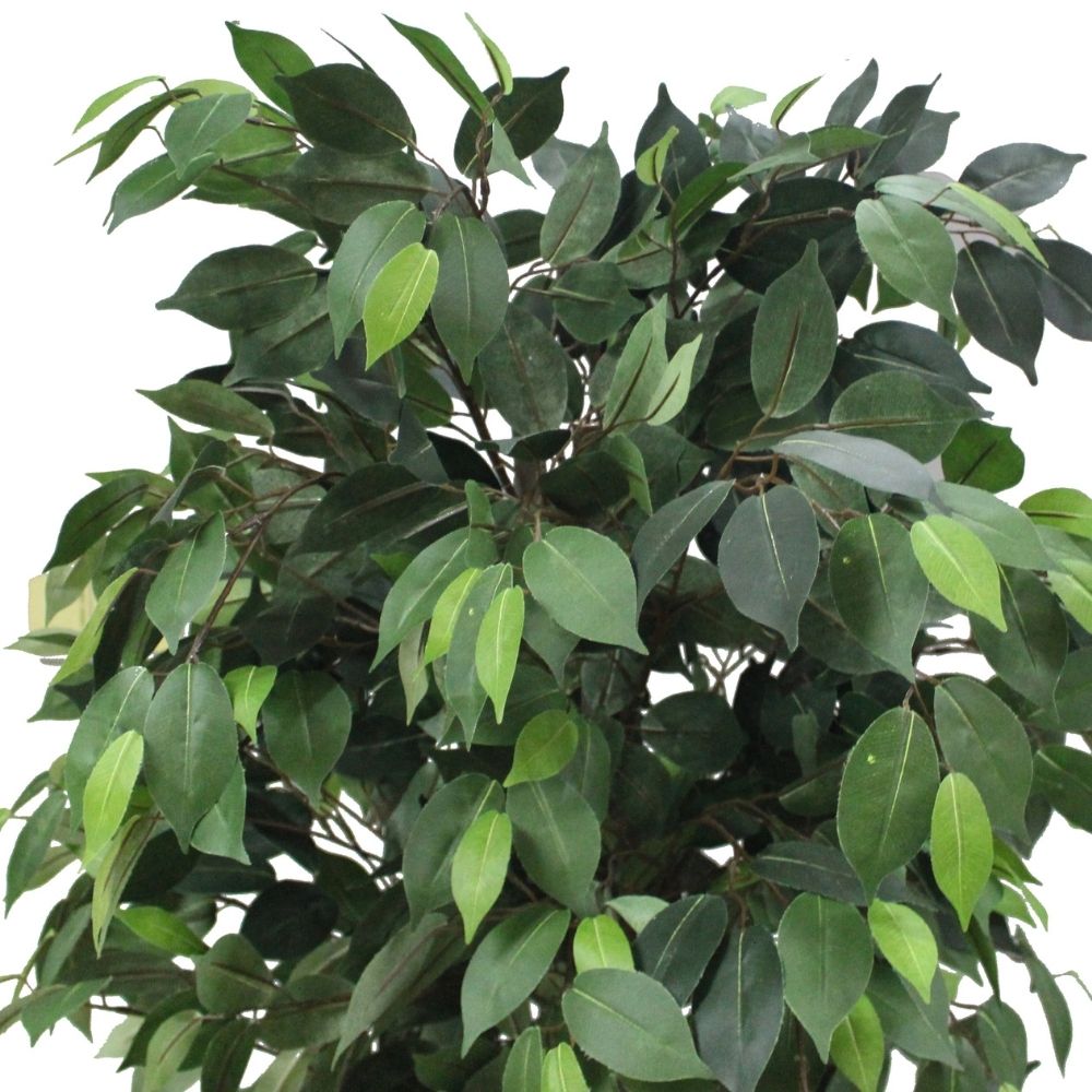 Potted Artificial Plant - Tarso Artificial Ficus Potted Plant 6'