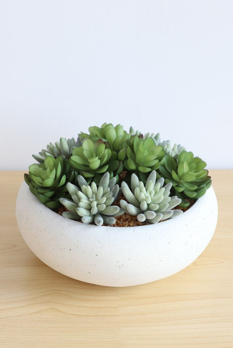 Potted Artificial Plant - Zed Faux Succulent Arrangement In Low White Pot 7.1"