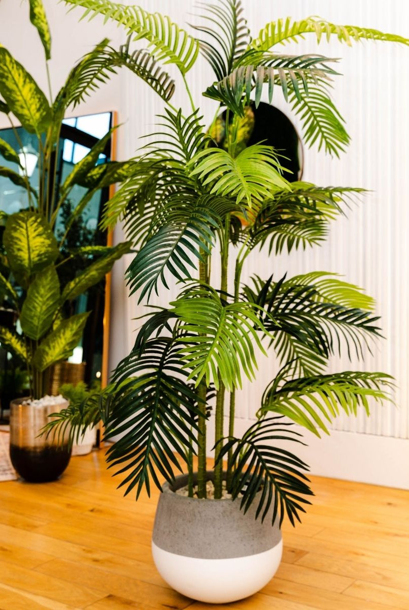 Potted Artificial Plant - Arlo Artificial Hawaii Kwai Palm Tree Potted Plant (Multiple Sizes)