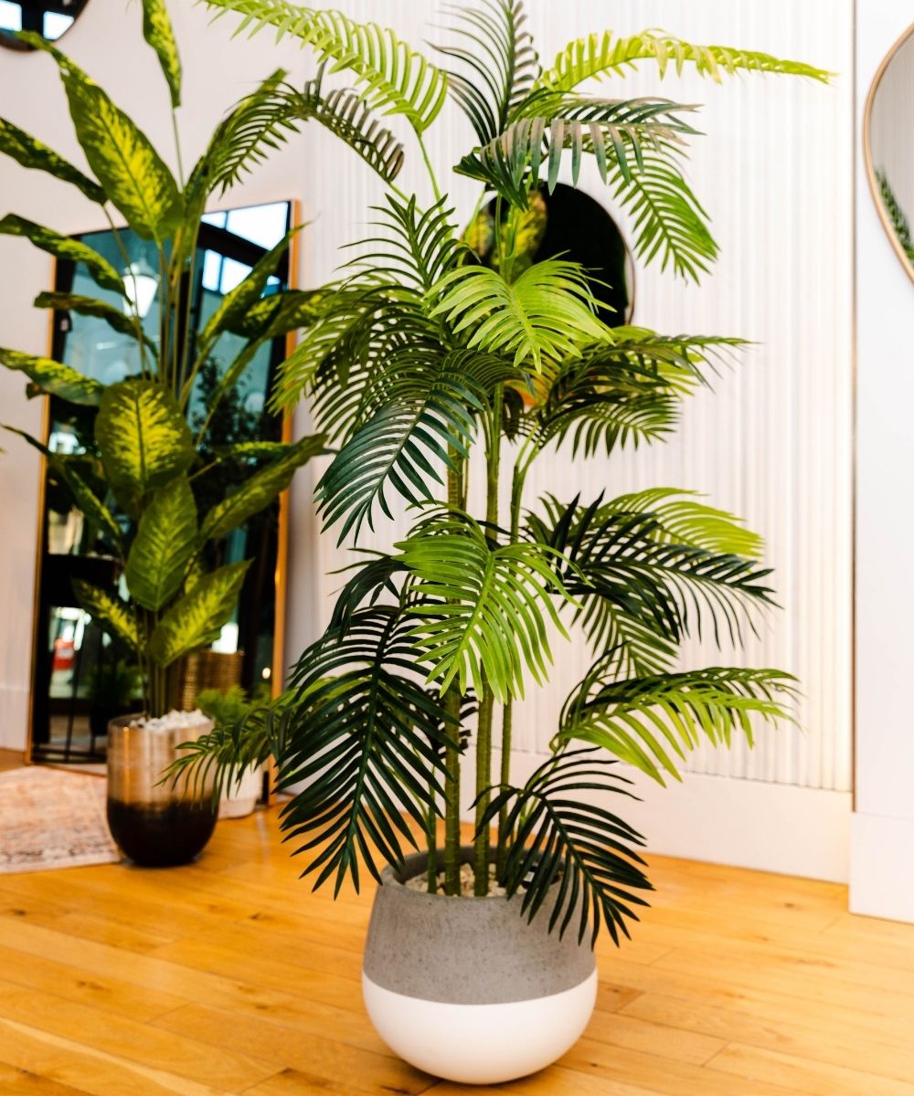 Potted Artificial Plant - Arlo Artificial Hawaii Kwai Palm Tree Potted Plant (Multiple Sizes)