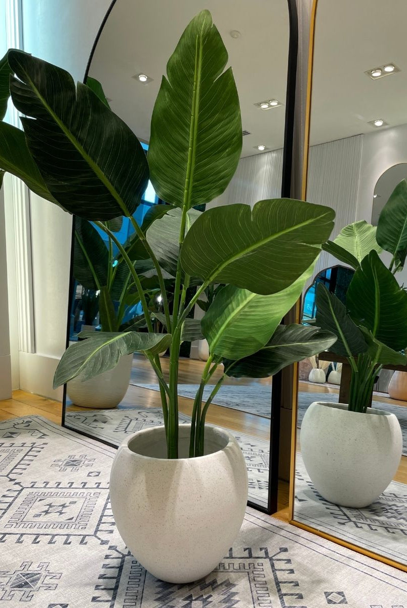 Cement Planter - Merida Round Cement Planter (Multiple Sizes)