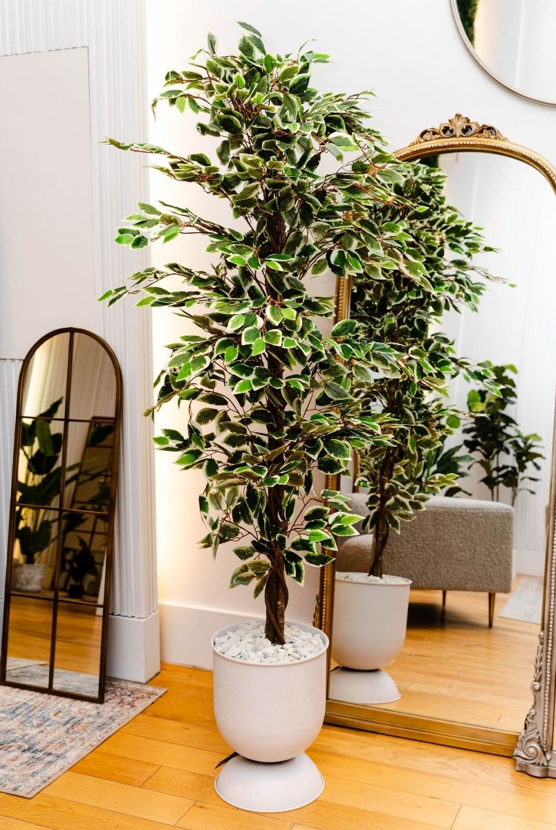 Potted Artificial Plant - Olaya Artificial Ficus Potted Plant 6'