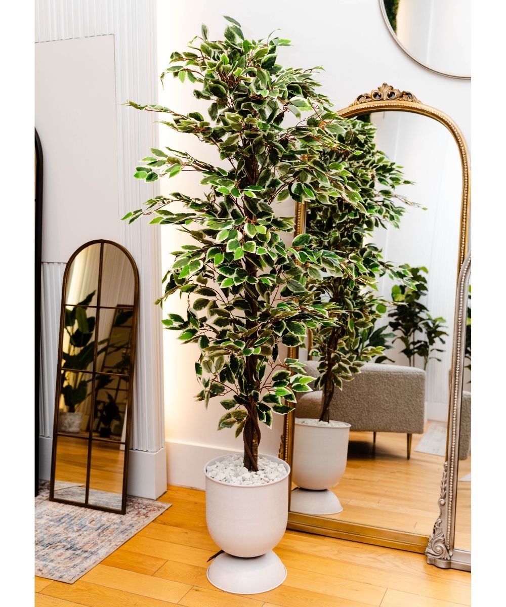 Potted Artificial Plant - Olaya Artificial Ficus Potted Plant 6'