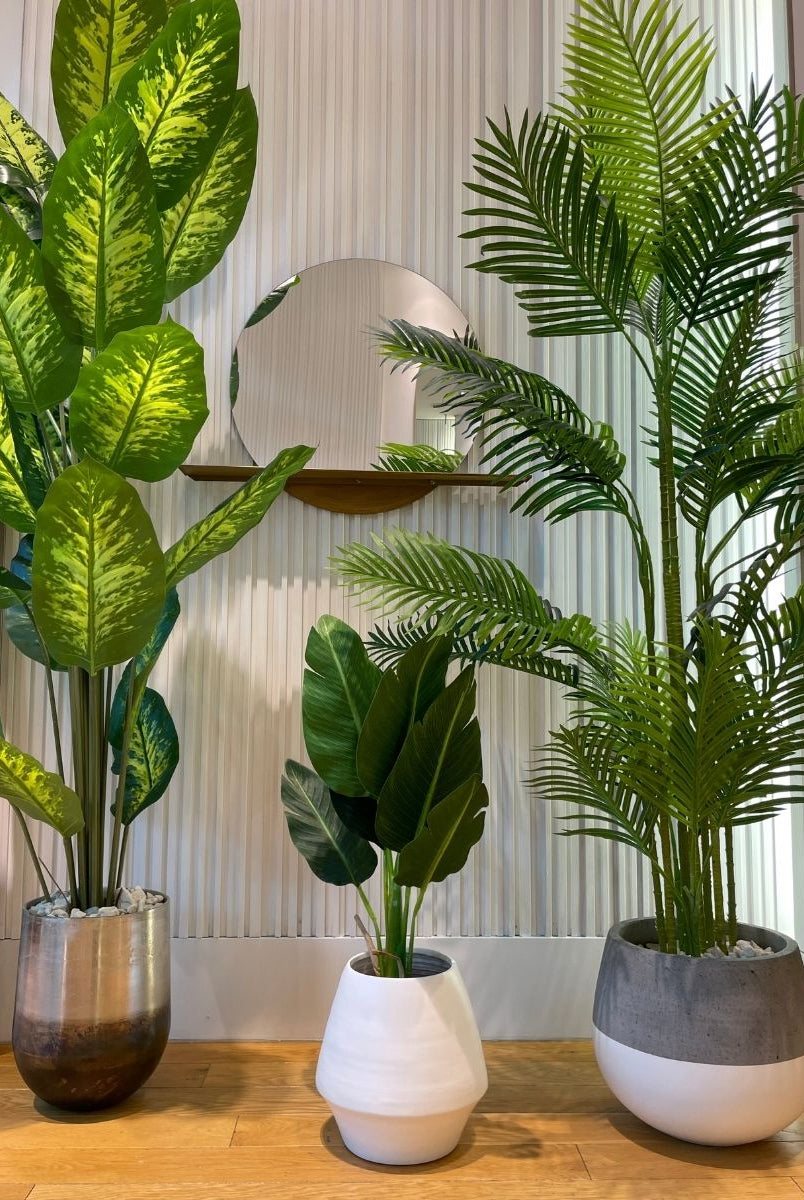 Potted Artificial Plant - Dira Artificial Evergreen Potted Plant (Multiple Sizes)