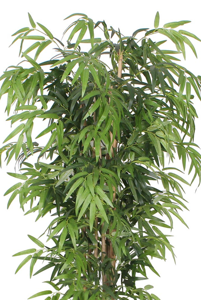 Potted Artificial Plant - Ceja Artificial Korea Bamboo Potted Plant (Multiple Sizes)