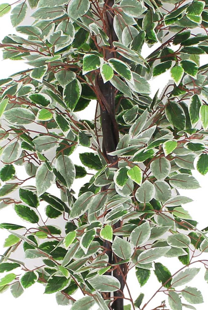 Potted Artificial Plant - Olaya Artificial Ficus Potted Plant 6'
