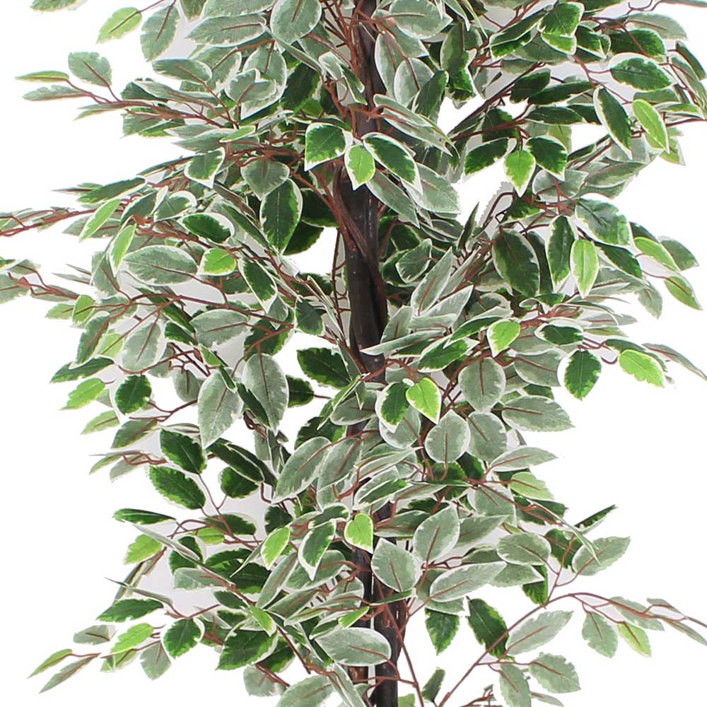 Potted Artificial Plant - Olaya Artificial Ficus Potted Plant 6'