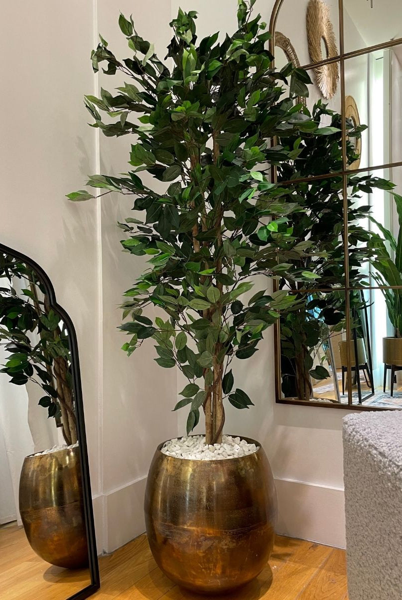 Potted Artificial Plant - Tarso Artificial Ficus Potted Plant 6'