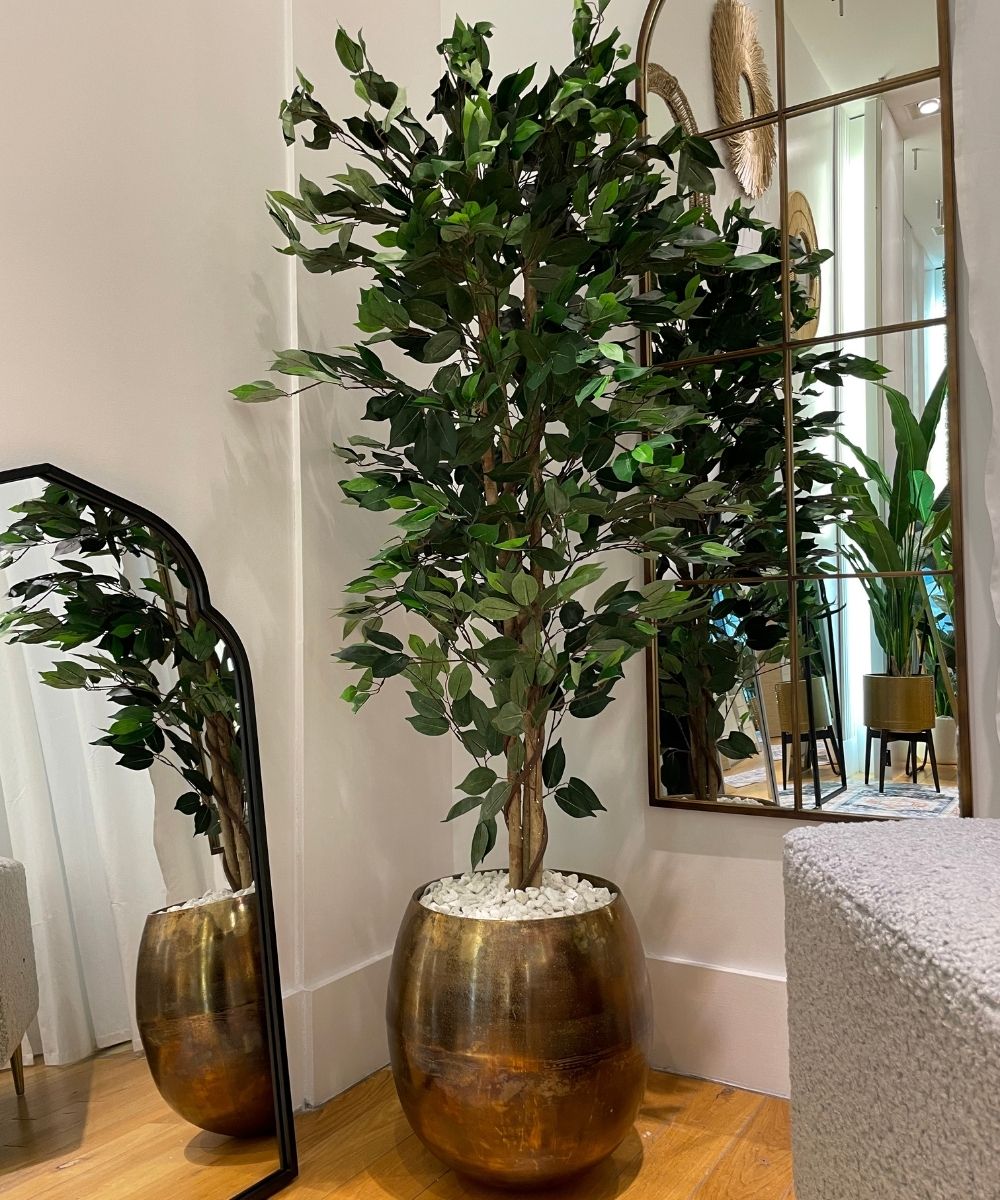 Potted Artificial Plant - Tarso Artificial Ficus Potted Plant 6'