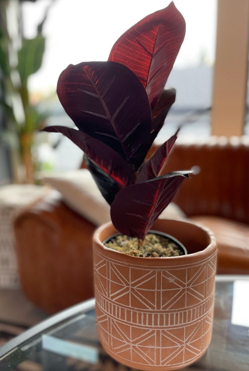 Potted Artificial Plant - Mongui Artificial Rubber Potted Plant 1.2'