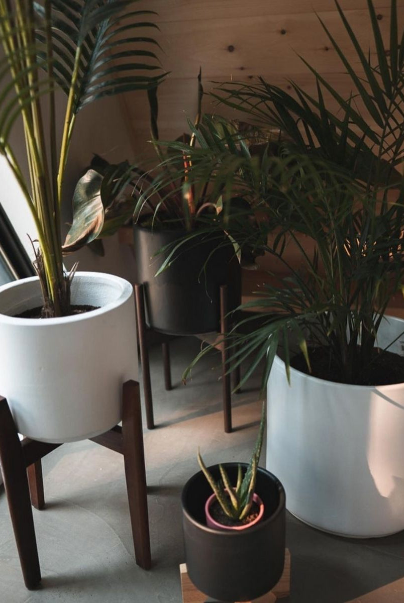 Cement Planter - Boni White Mid - Century Cement Planter With Wooden Stand
