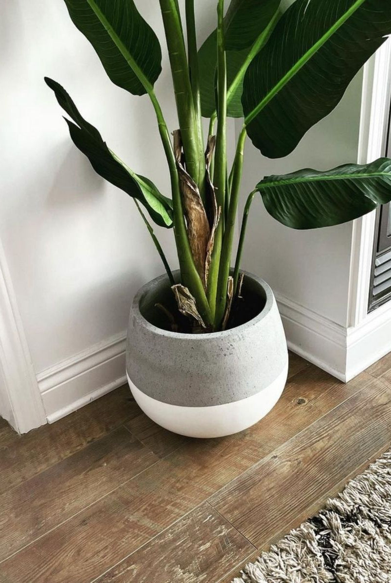 Cement Planter - Zamora Cement Planter (Multiple Sizes)