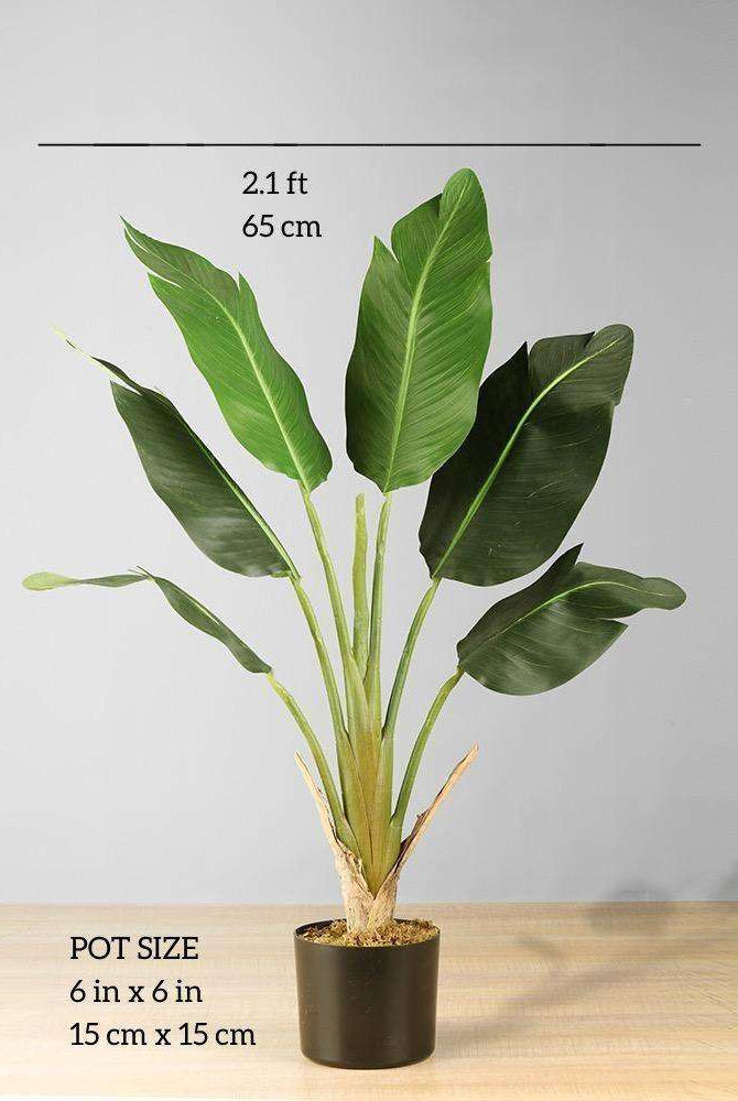 LOLA Artificial Bird Of Paradise Potted Plant 3' Potted Artificial Plant ArtiPlanto