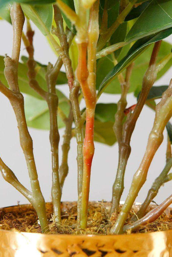 MORENO POTTED FAUX WATERCRESS PLANT Tabletop Plant ArtiPlanto