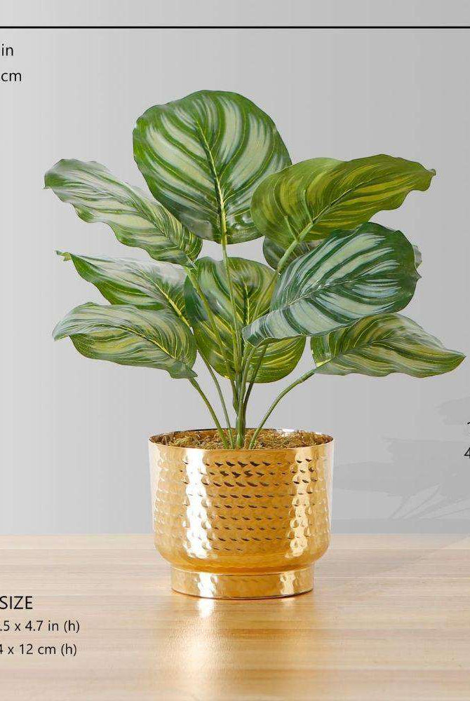 Calathea Faux Potted Plant Potted Artificial Plant ArtiPlanto