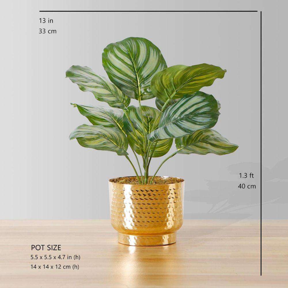 Calathea Faux Potted Plant Potted Artificial Plant ArtiPlanto