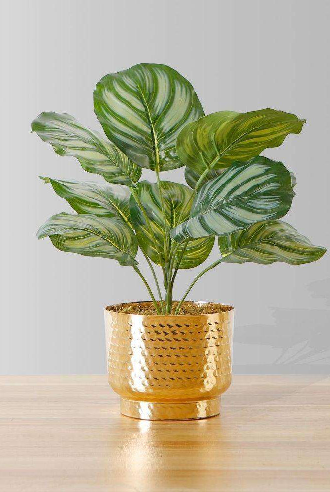 Calathea Faux Potted Plant Potted Artificial Plant ArtiPlanto