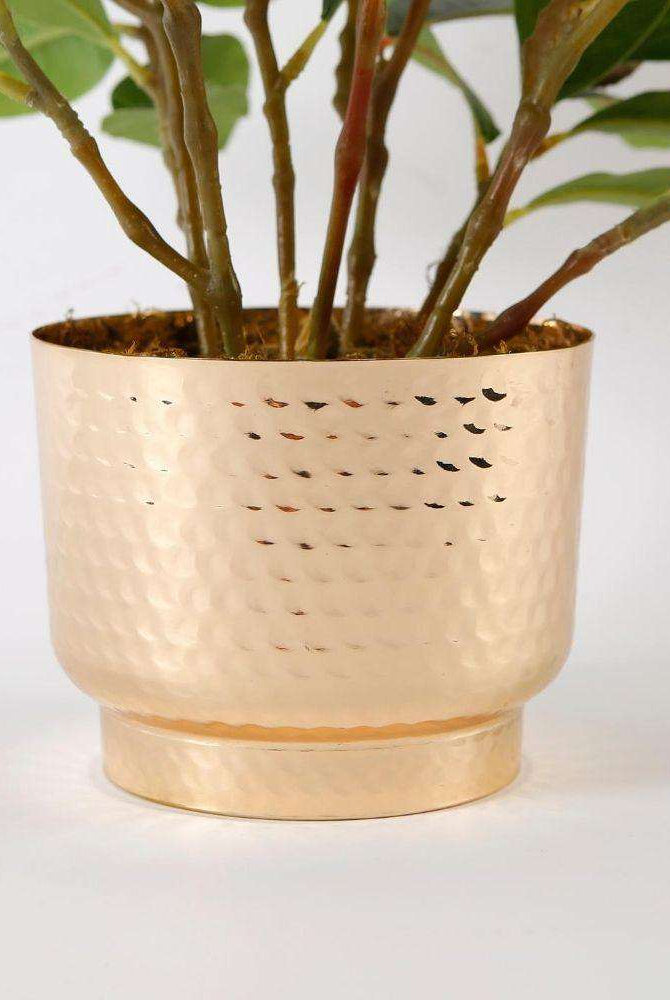 MORENO POTTED FAUX WATERCRESS PLANT Tabletop Plant ArtiPlanto