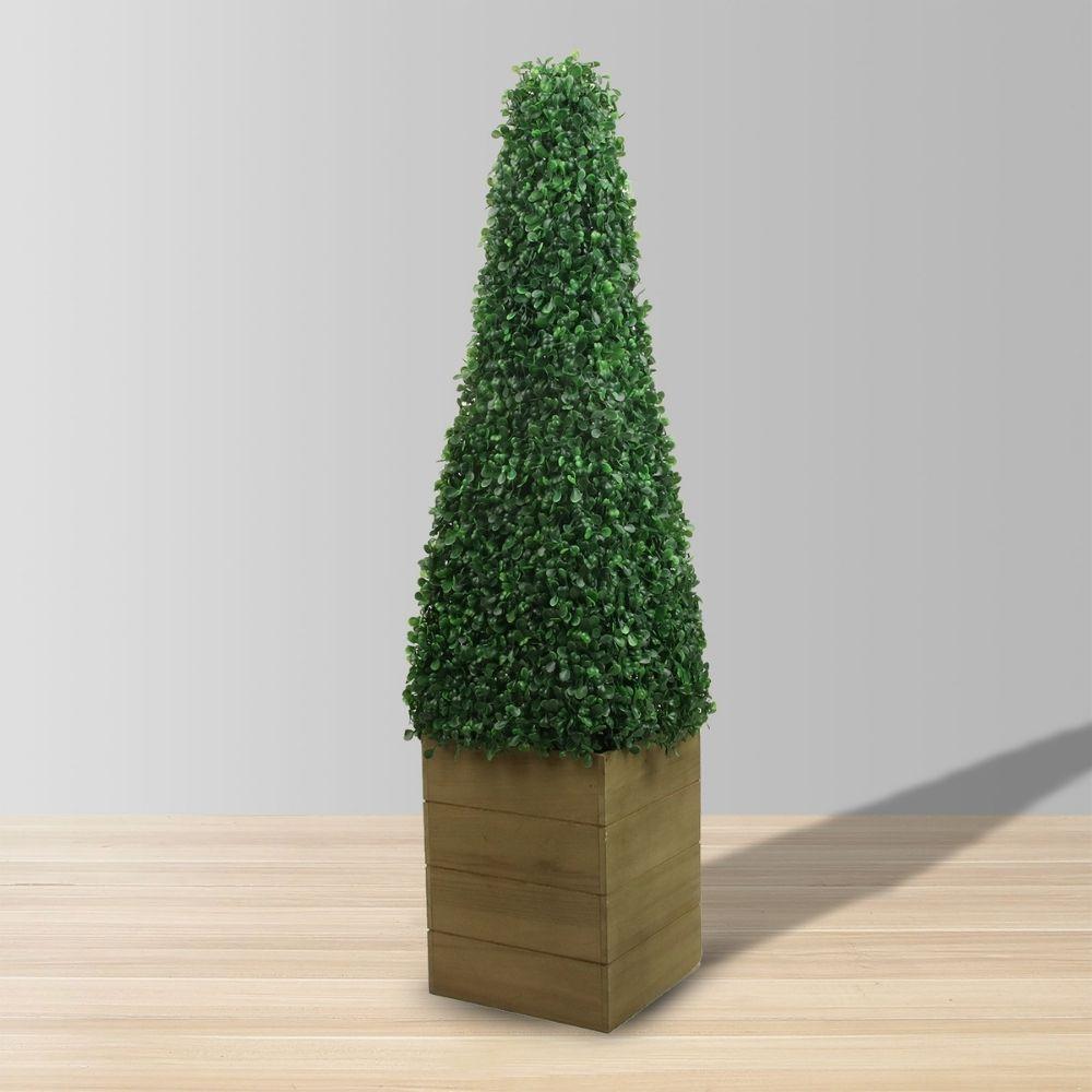 Mayer Potted Boxwood Topiary Plant (Multiple Sizes)