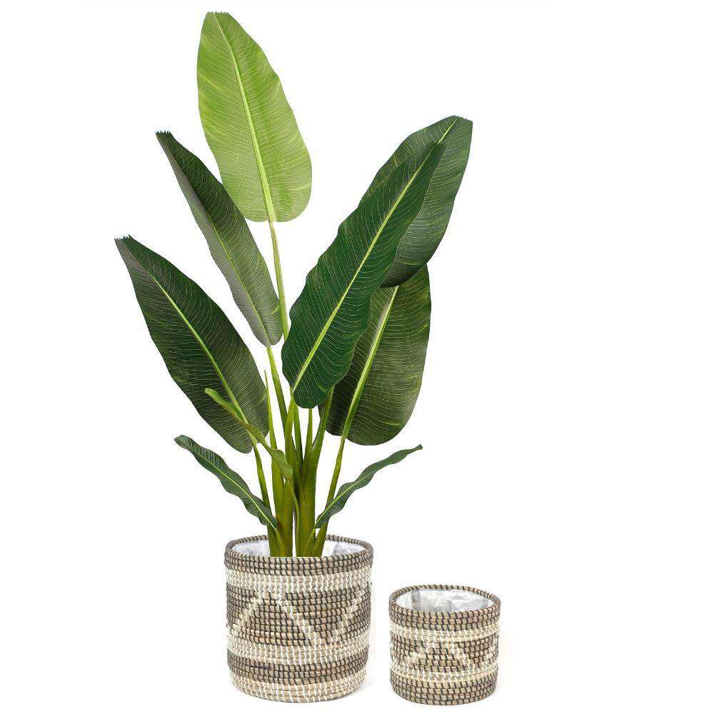COBRA - Seagrass Planter Natural Planter ArtiPlanto