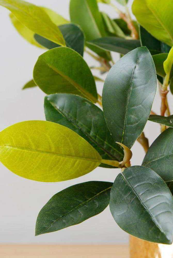 MORENO POTTED FAUX WATERCRESS PLANT Tabletop Plant ArtiPlanto