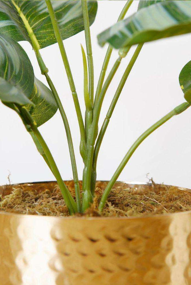Calathea Faux Potted Plant Potted Artificial Plant ArtiPlanto