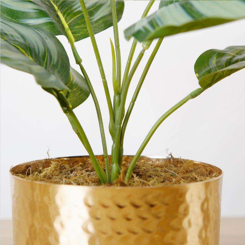 Calathea Faux Potted Plant Potted Artificial Plant ArtiPlanto