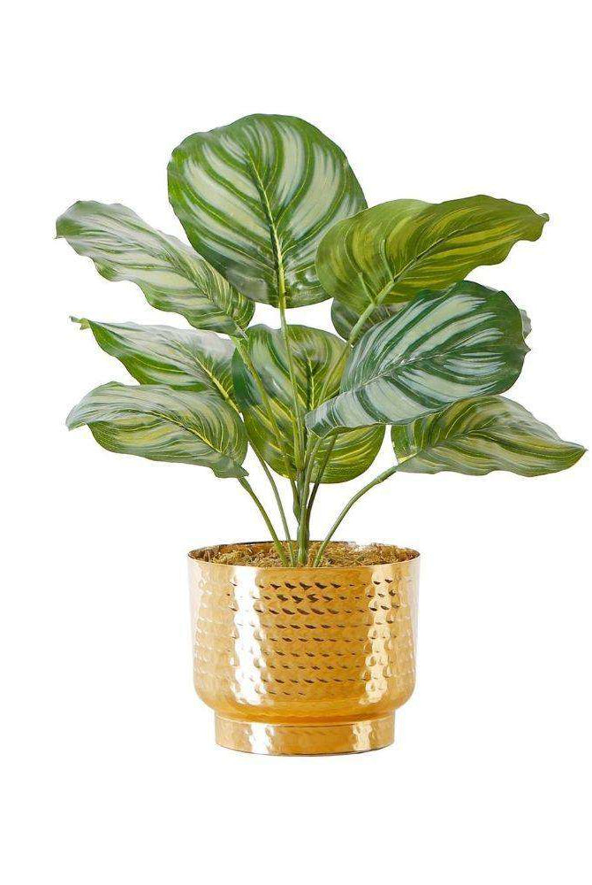 Calathea Faux Potted Plant Potted Artificial Plant ArtiPlanto
