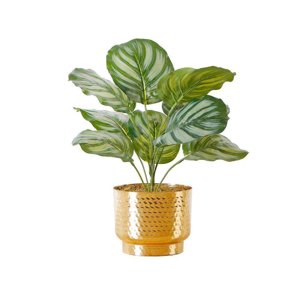 Calathea Faux Potted Plant Potted Artificial Plant ArtiPlanto