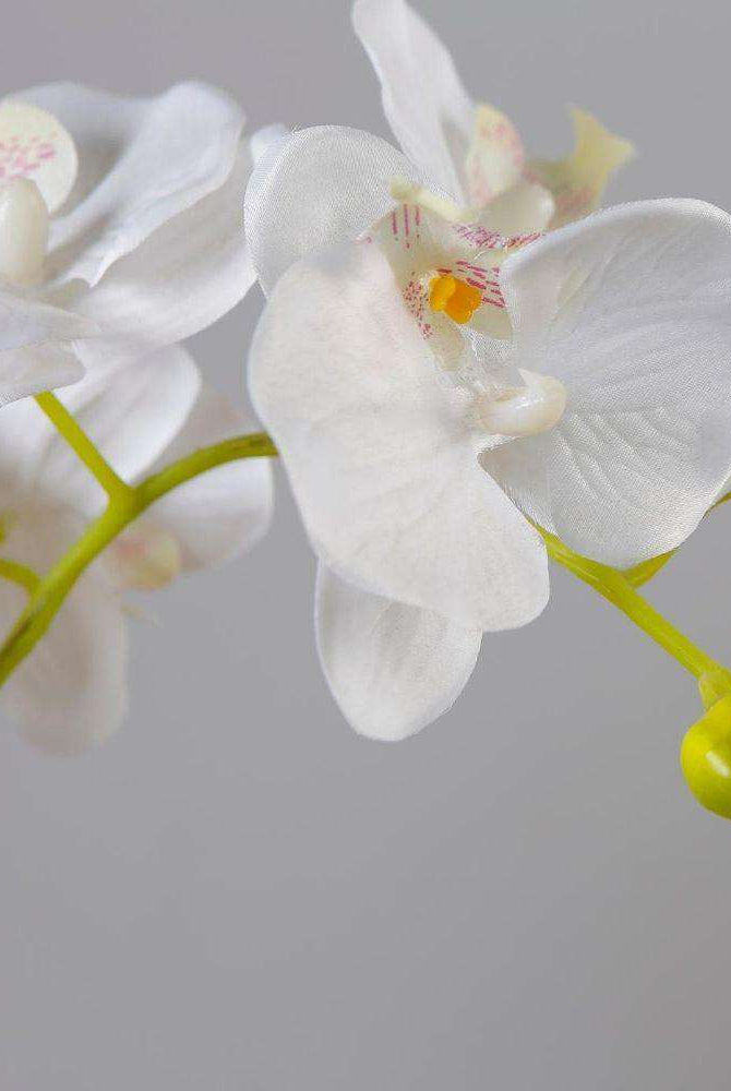 GLADIOLA FAUX POTTED ORCHID FLORAL ARRANGEMENT 24 INCHES Tabletop Plant ArtiPlanto