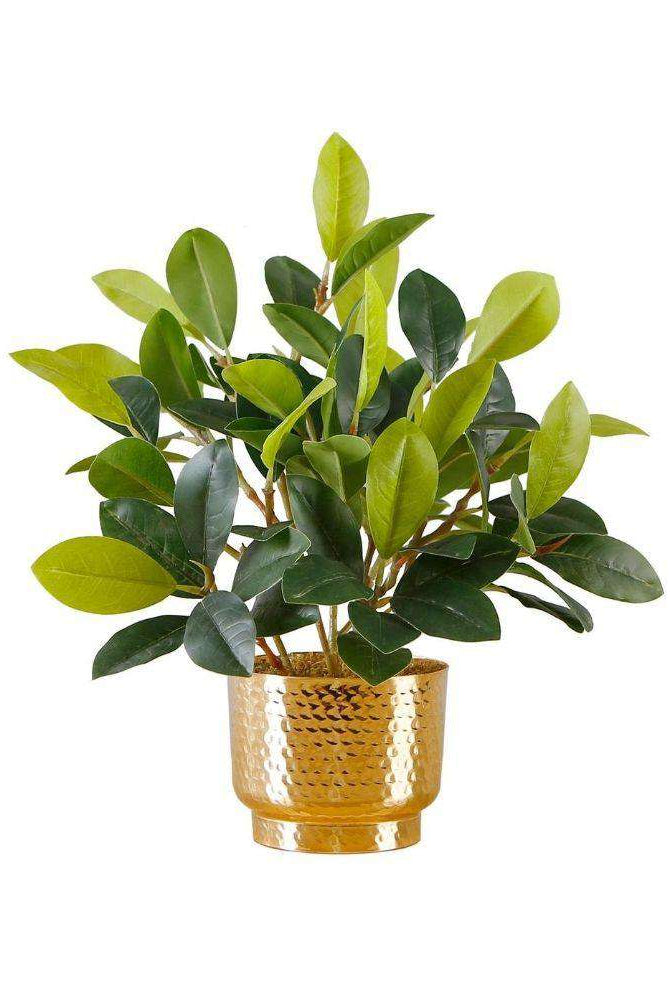 MORENO POTTED FAUX WATERCRESS PLANT Tabletop Plant ArtiPlanto