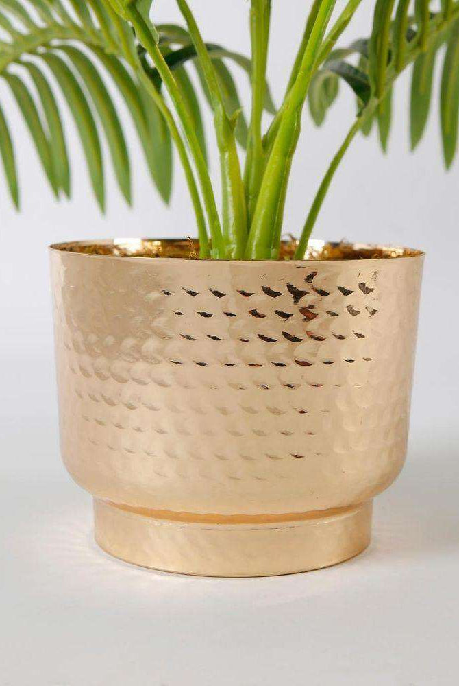 PACO POTTED FAUX PALM PLANT Tabletop Plant ArtiPlanto