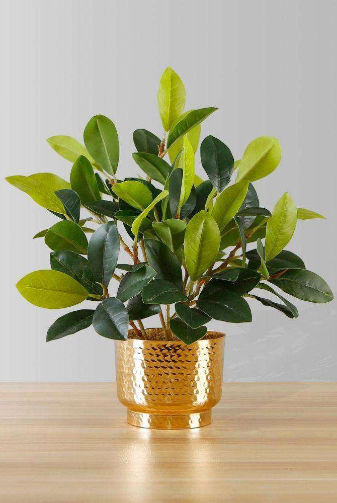 MORENO POTTED FAUX WATERCRESS PLANT Tabletop Plant ArtiPlanto