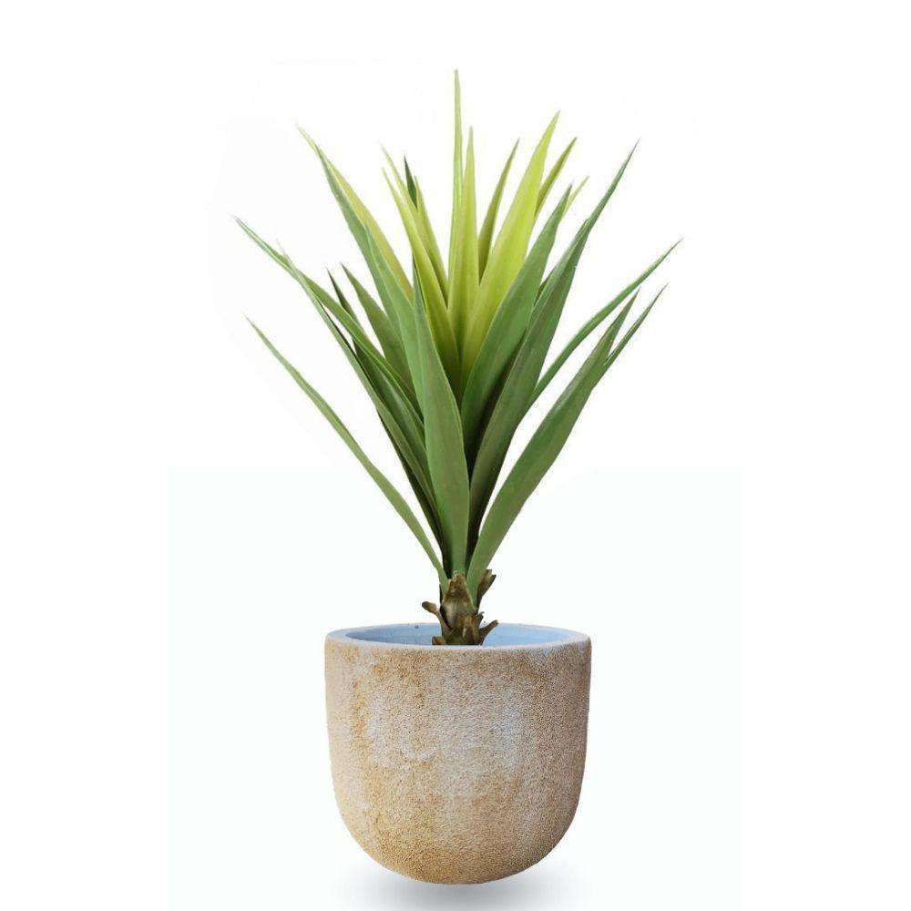 TREVI CEMENT PLANTER (MULTIPLE SIZES) Cement Planter ArtiPlanto
