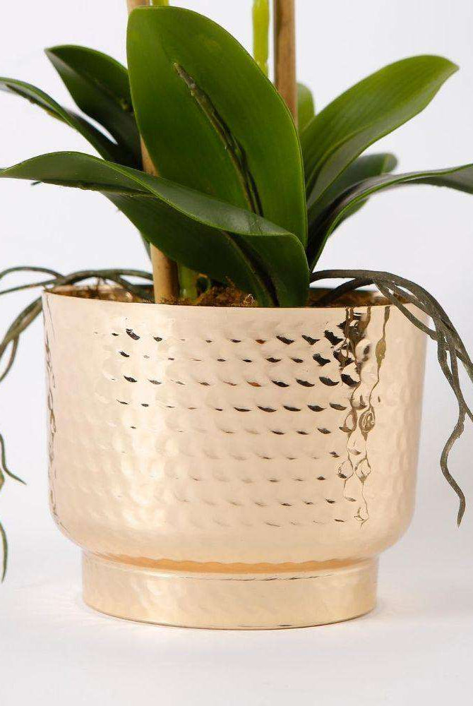 GLADIOLA FAUX POTTED ORCHID FLORAL ARRANGEMENT 24 INCHES Tabletop Plant ArtiPlanto