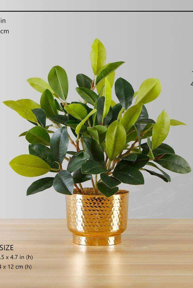 MORENO POTTED FAUX WATERCRESS PLANT Tabletop Plant ArtiPlanto