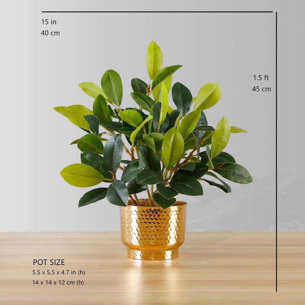 MORENO POTTED FAUX WATERCRESS PLANT Tabletop Plant ArtiPlanto
