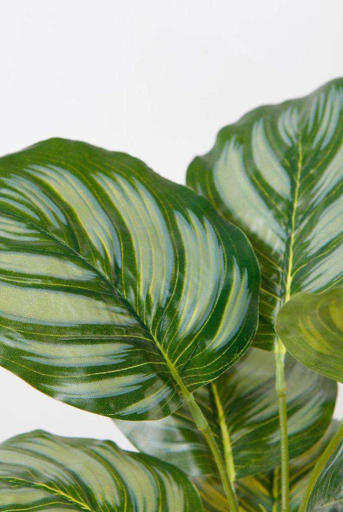 Calathea Faux Potted Plant Potted Artificial Plant ArtiPlanto
