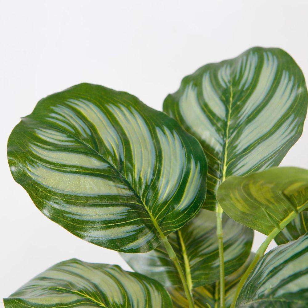 Calathea Faux Potted Plant Potted Artificial Plant ArtiPlanto