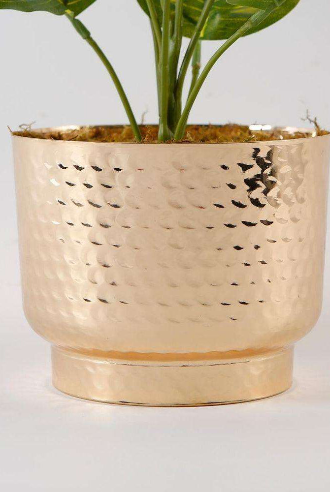 Calathea Faux Potted Plant Potted Artificial Plant ArtiPlanto