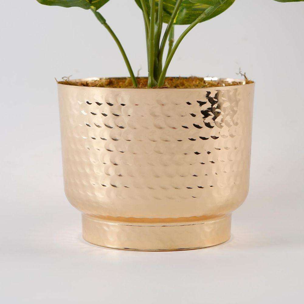 Calathea Faux Potted Plant Potted Artificial Plant ArtiPlanto