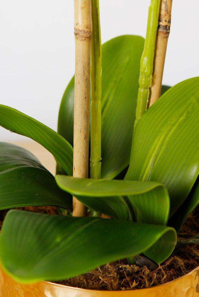 GLADIOLA FAUX POTTED ORCHID FLORAL ARRANGEMENT 24 INCHES Tabletop Plant ArtiPlanto