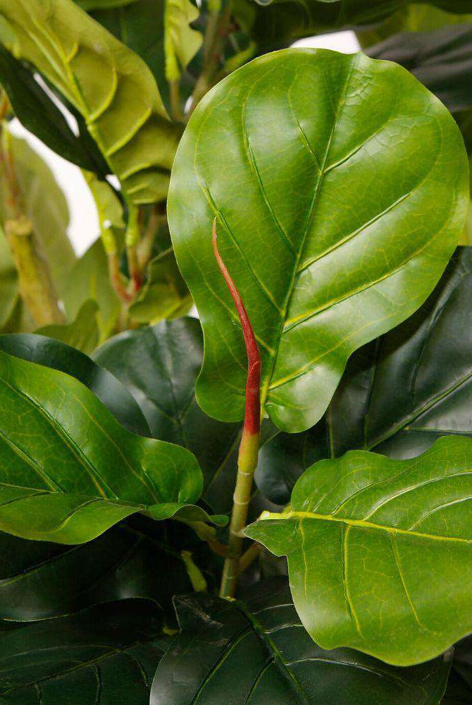 ADELIA ARTIFICIAL FIDDLE LEAF POTTED PLANT 10' ArtiPlanto