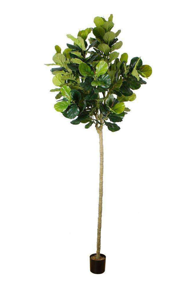 ADELIA ARTIFICIAL FIDDLE LEAF POTTED PLANT 10' ArtiPlanto
