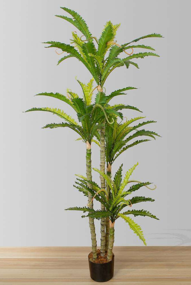 ALBA ARTIFICIAL BIRD NEST FERN POTTED PLANT 5.2' ArtiPlanto
