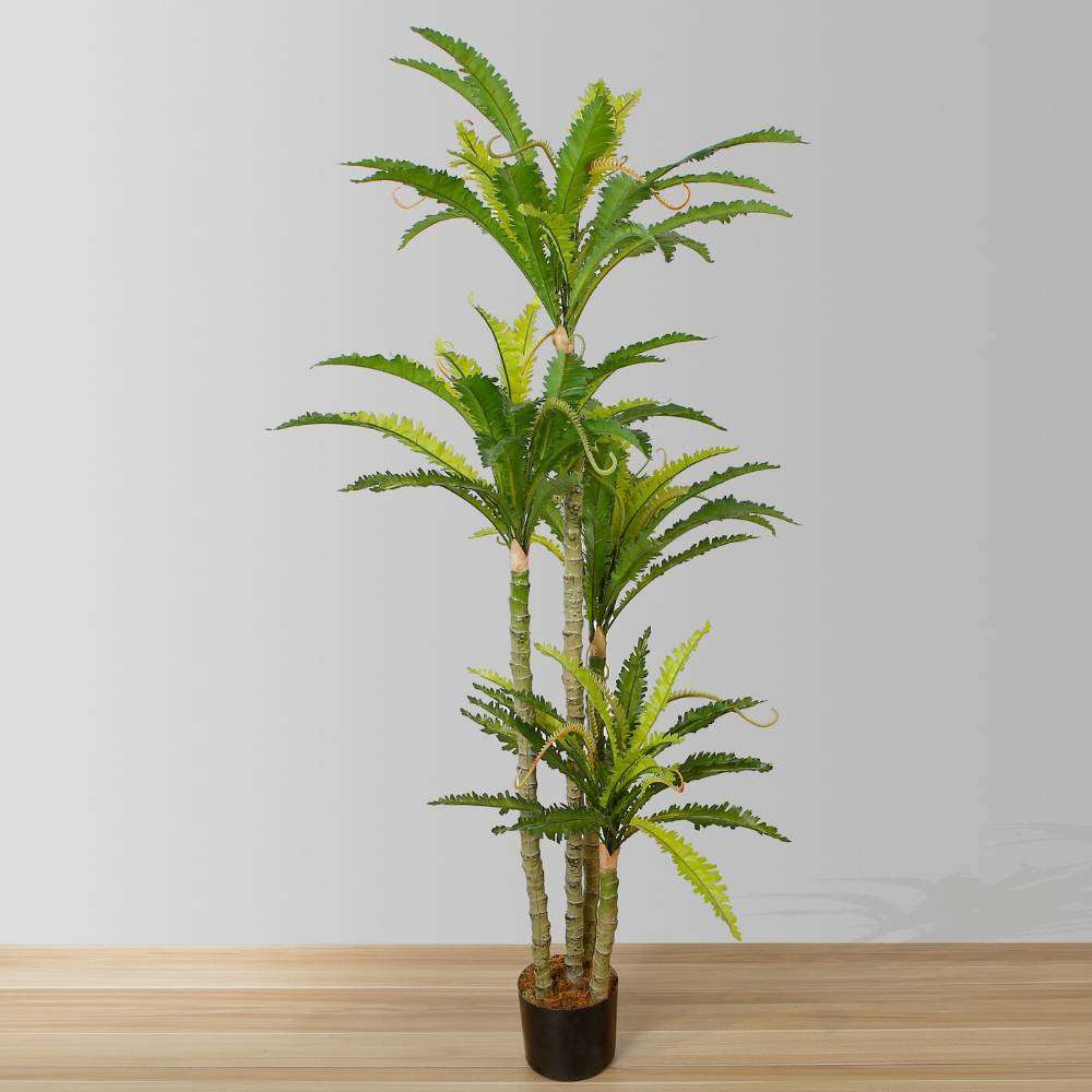 ALBA ARTIFICIAL BIRD NEST FERN POTTED PLANT 5.2' ArtiPlanto