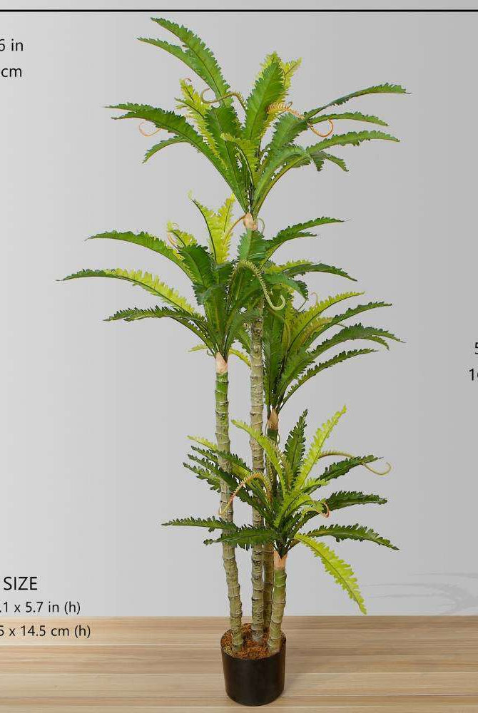 ALBA ARTIFICIAL BIRD NEST FERN POTTED PLANT 5.2' ArtiPlanto