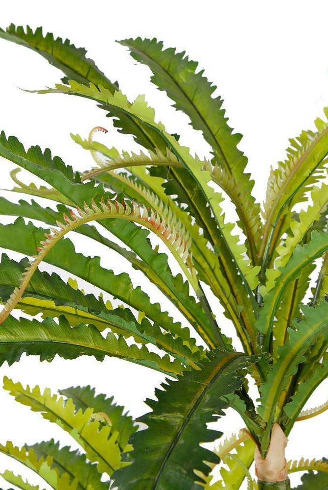 ALBA ARTIFICIAL BIRD NEST FERN POTTED PLANT 5.2' ArtiPlanto